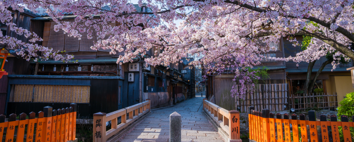 春の巽橋